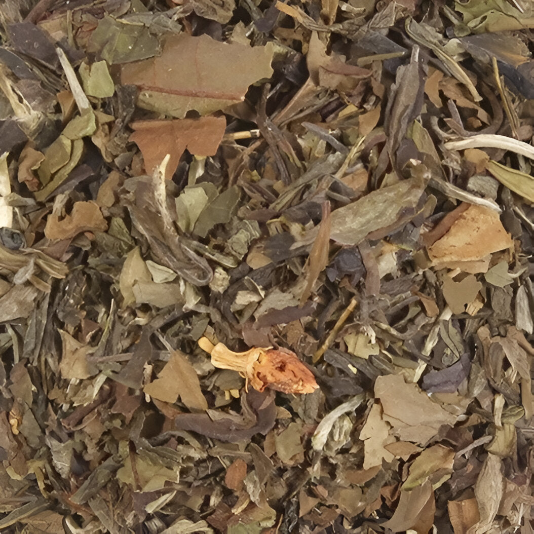 CHÁ BRANCO DE CEREJA E JASMIM - Harley Gabriel