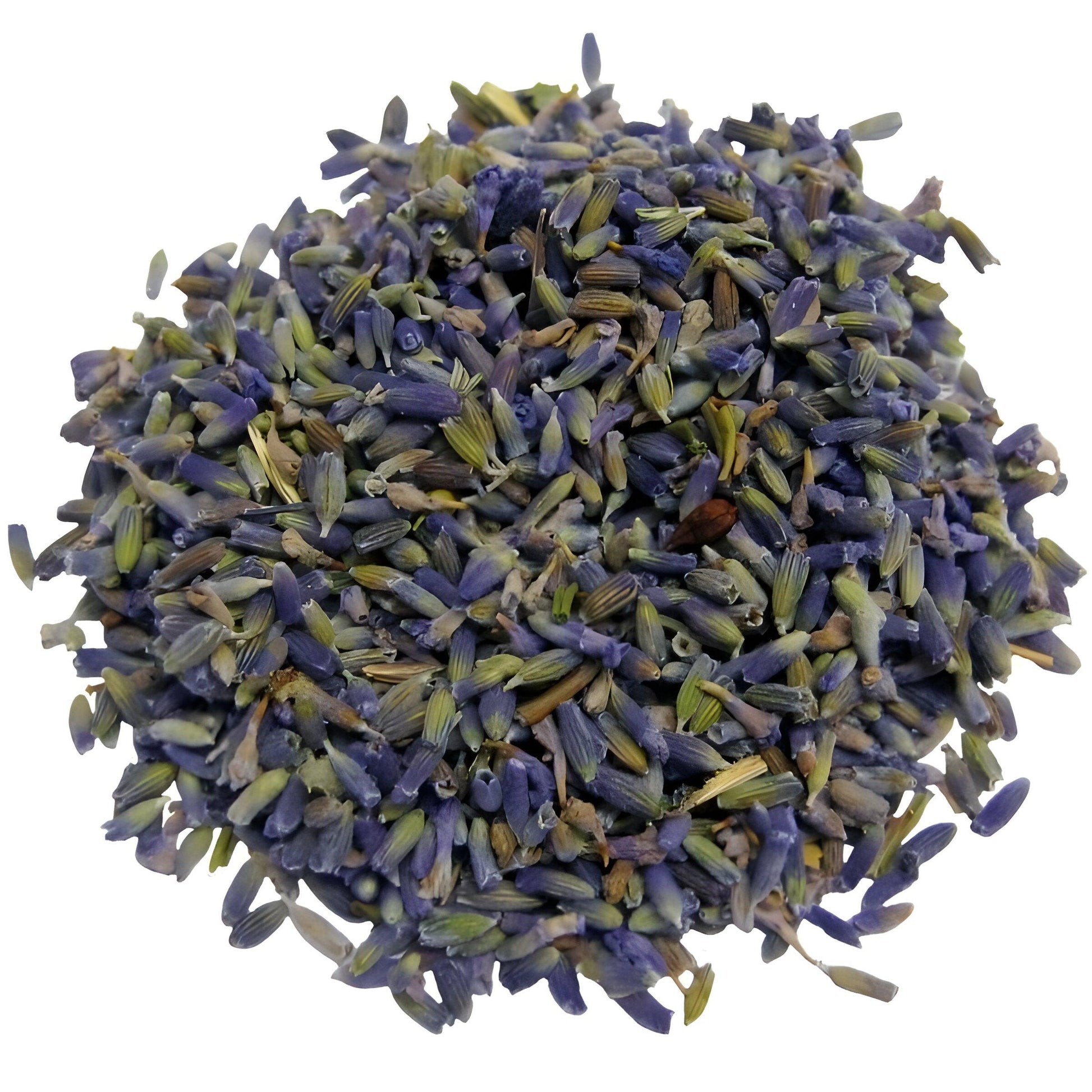 Flores de Lavanda HI013 - Harley Gabriel