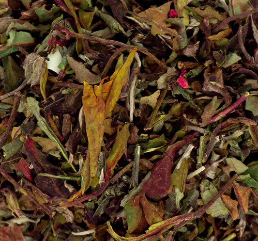 CHÁ BRANCO FLORESTA DAS FADAS - Harley Gabriel