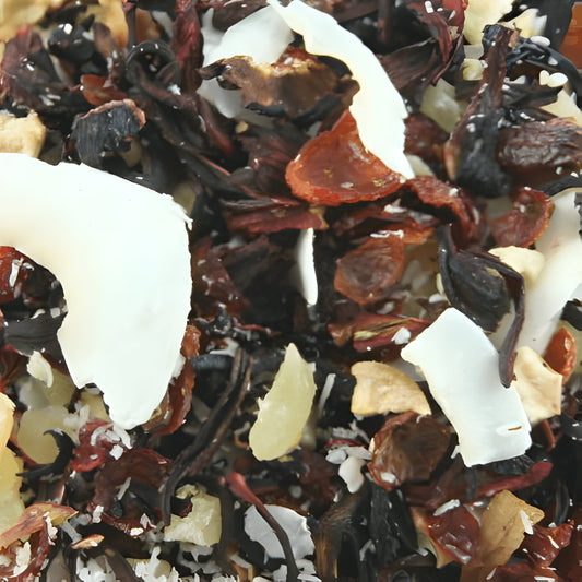 INFUSÕES PIÑA COLADA - Harley Gabriel