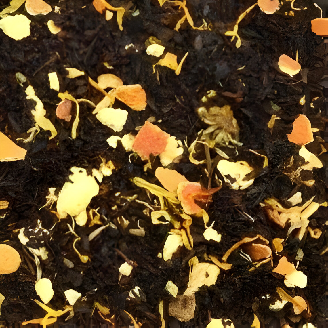 CHÁ PRETO LARANJA BAUNILHA - Harley Gabriel