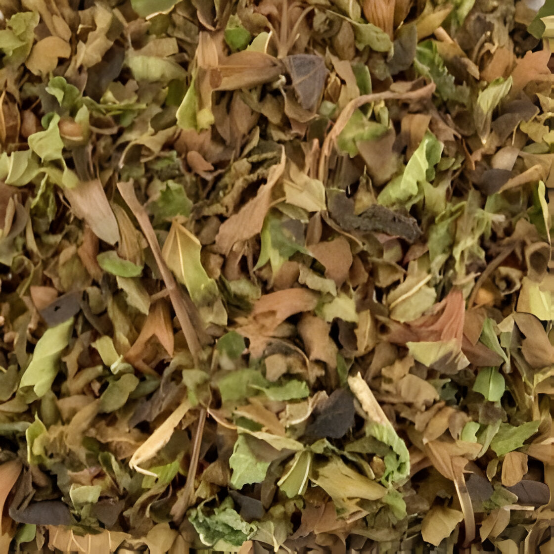 CHÁ PRETO MEL MELISA - Harley Gabriel