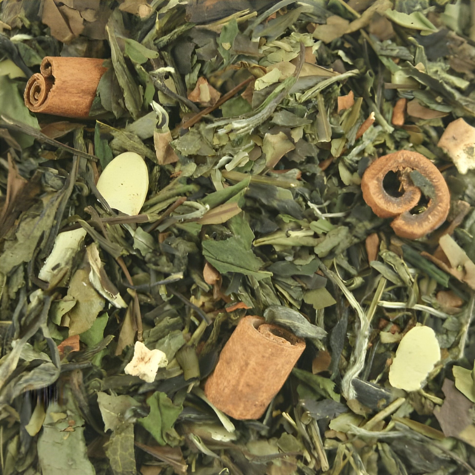 CHÁ BRANCO DA ETERNA JUVENTUDE - Harley Gabriel